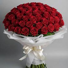 Букет 101 Красная роза Блэк Мэджик в Даниловке