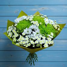 Букет цветов из:  Хризантемы #REPLACE_PRED# Даниловке