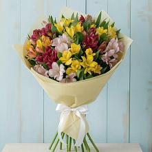 Букет цветов из:  Альстромерии #REPLACE_PRED# Даниловке