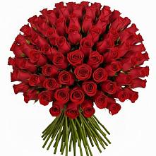 Букет Красные розы Чери Лав в Даниловке