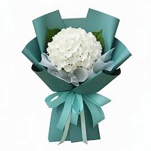 Букет цветов из:  Гортензия в Даниловке